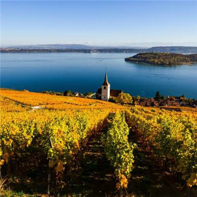 开元·app手机app下载