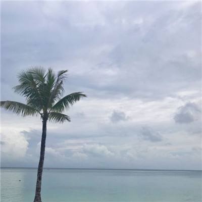 博鱼综合体育官方网站入口