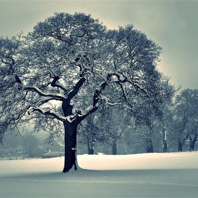 江南体育官网入口