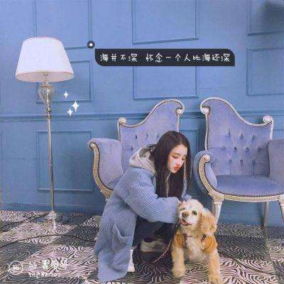 bob·体育综合appapp下载